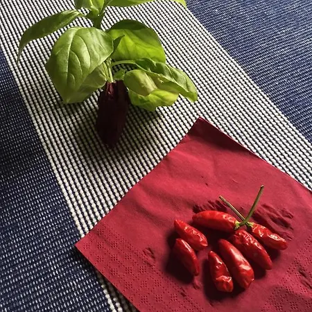 Πανσιόν Casa *
