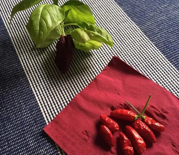 게스트하우스 Casa 4*